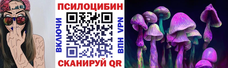 Псилоцибиновые грибы Cubensis  Ялта 